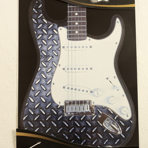Facelift (페이스리프트) Stratocaster Metal 기타 스티커 